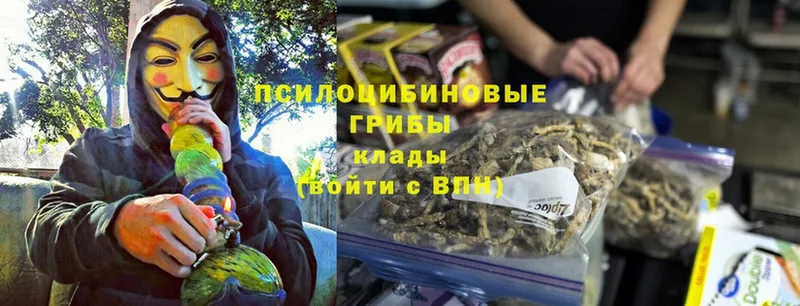 Галлюциногенные грибы Magic Shrooms  omg сайт  Емва 